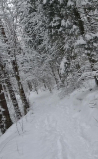 Is It Snowy in Your Place?