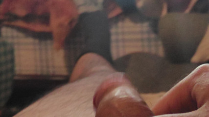 Solo on the Couch in the Living Room