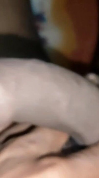 Porn Gay Stepdaddy Gay Boy Big Gay Stepdaddy Cock