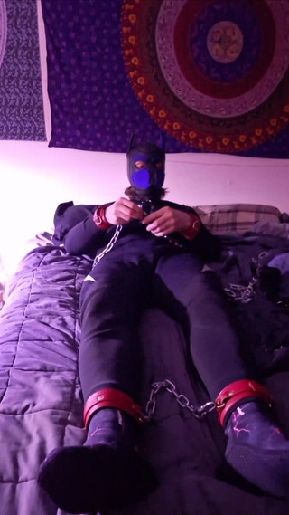 Neoprene Petplay Self Bondage Chains Leather Puppyplay Pup Mash Hood Wetsuit Collar Locks Fetish Kin