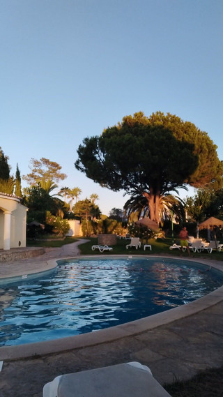 A Race Around the Pool