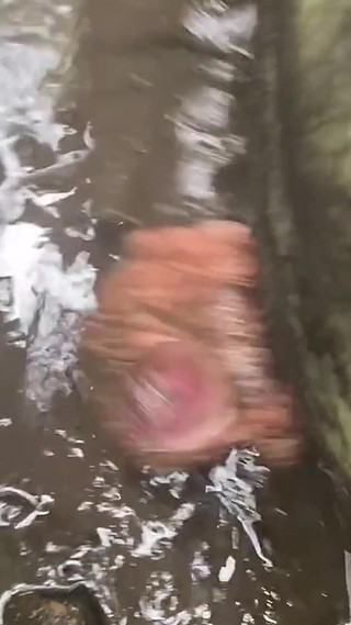 Cumming While Wallowing