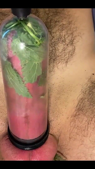 CBT Pumped Stinging Nettles Cum