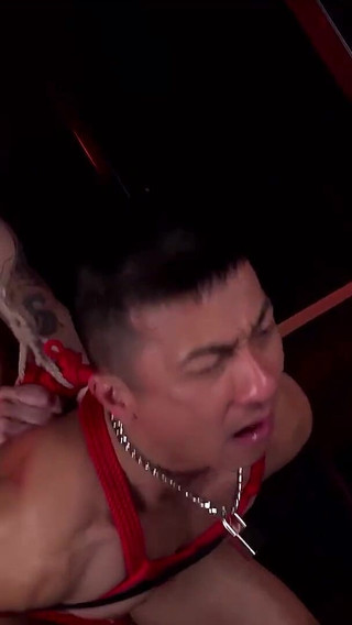 Peterfever Tied up Tuesday 5 Suspended Disbelief