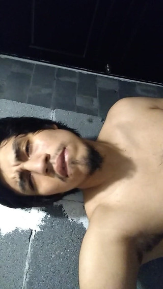 Do You Like to Look at Eggs?