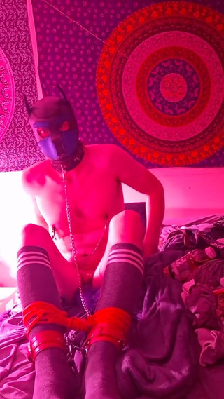 Butt Tail Chains Rope Self Bondage Nipple Clamps