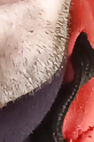 Lip Massage Ejeculation for Tamanna Stepaunty