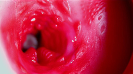Juicy Beautiful Pussy Squelches Inside Asmr Close-up Inside the Anus