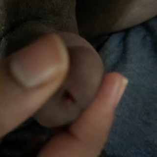 Indian Dick After Sex