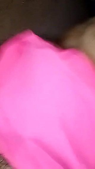 They Eat for the Stalls of the Stick