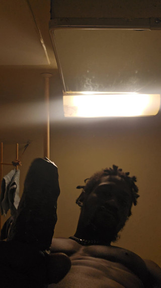 Been a Wild Crocodile!