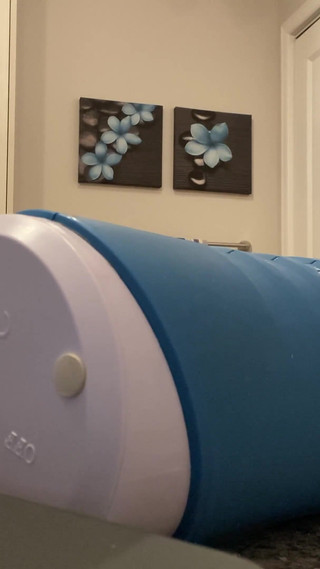 Making a Clone of My Cock