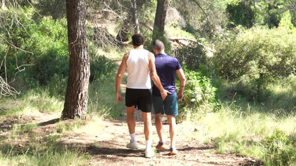 Cruising in the Forest