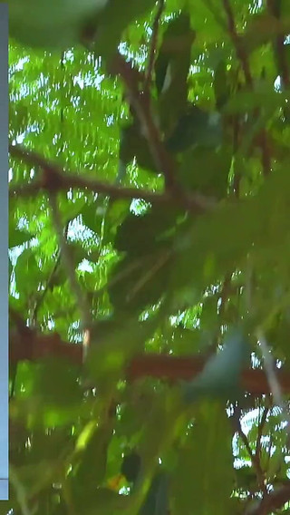 White Socks Series Inspiration N. 1