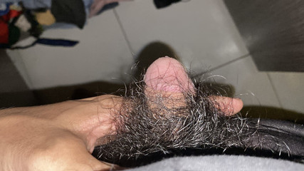 I Masturbate in the Afternoon