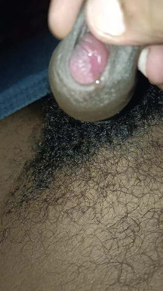 Tamil Cock Playing Boy