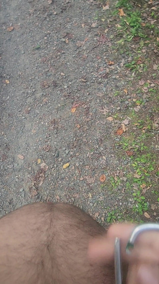 Went for a Nude Walk.