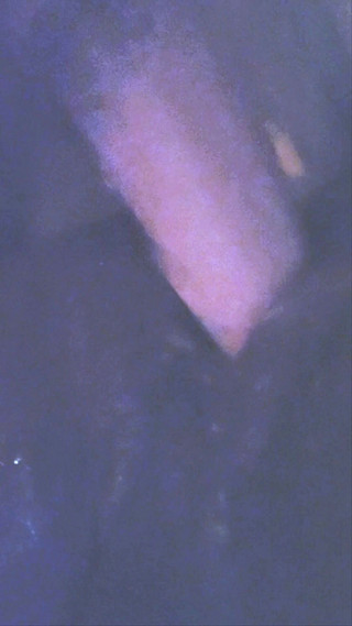 Monster white dildo making me squirt like a bitch