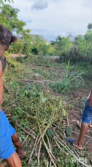 Type C to Type C Transmission.