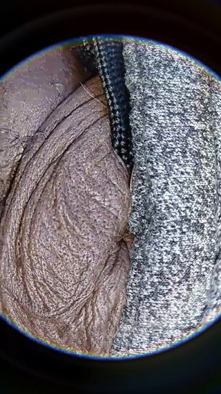 Soft Uncut Black Big Dick Slow Mo