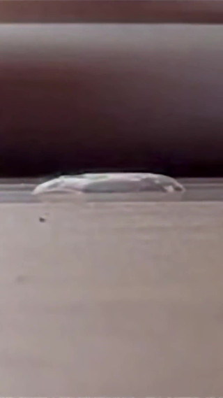 Vibrator Masturbing, Two Cumshot! Femboy Eat Cum