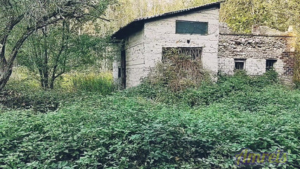 Showed His Balls and Cum Powerfully in a Dirty Abandoned Building