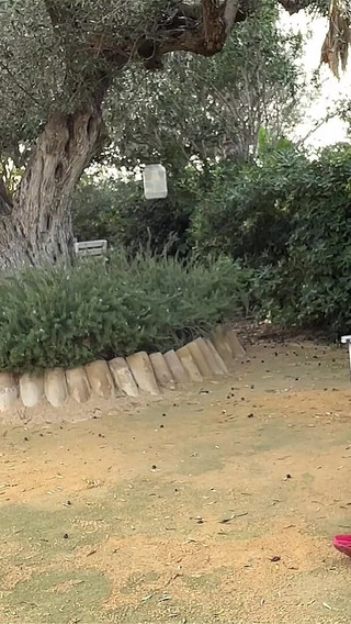 Agf: I Have Fun with My Friend in the Park in Full View of Everyone! Pee Included.