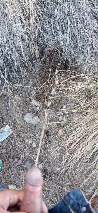 Risky Piss, I Had to Urinate in a Field Behind Some Flats Because My Cock Needed to Pee.