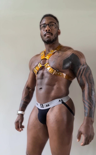 This New Harness Is Fire in Yellow From #stongpup on Instagram and Twitter.