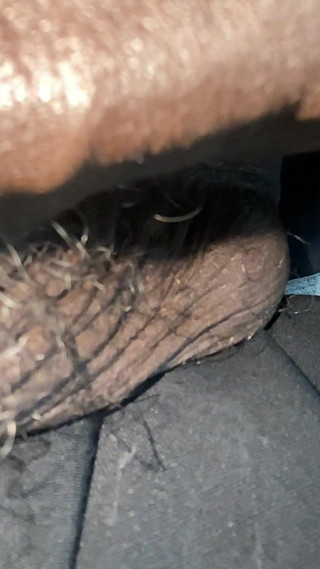 Cms BBC in the Flesh