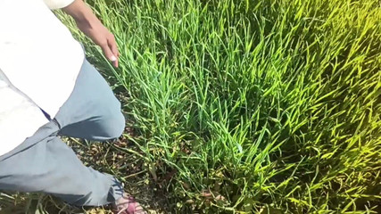 Hot Boy Indian Video