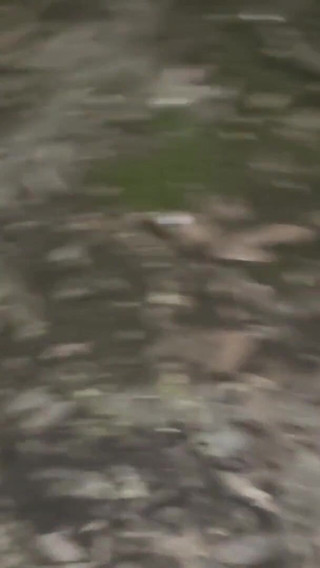 Arrapato E Esibizionista Sborrata in Pubblico - Sega in Pubblico