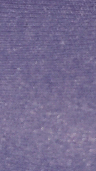 New Socks / Underwear