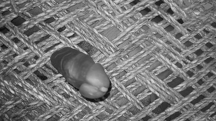 Hot Indian Gay Cumshot Video