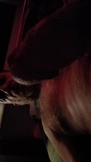 Stay Quiet if You Want This Dick