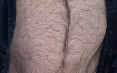 Morning Stepdaddy Bear Spring Exhibition