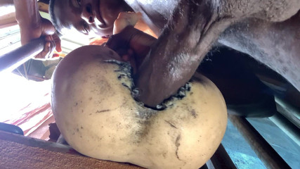 Amateur Big Ass Is Too Tight Make Me Cum Fast That I Did Not Expect