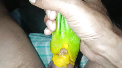 If Girls Can Have Sex with Eggplant, We Can Have Sex with Mango