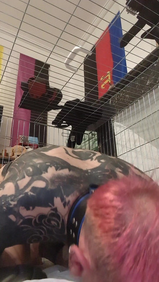 Day 13 of Chastity - Obeying Master Like a Good Sock-sniffing