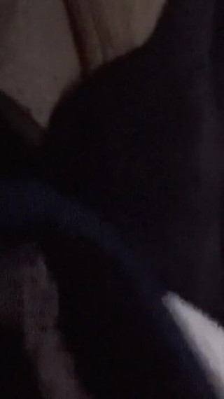 Cam Toys for Three in a Row