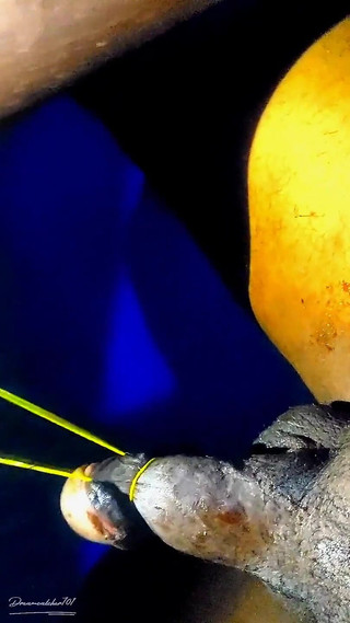 Indian Bengali Boy Dirty Moaning Fuck Handjob Huge Cock with Chocolate Syrup BBC and Cum Shot.