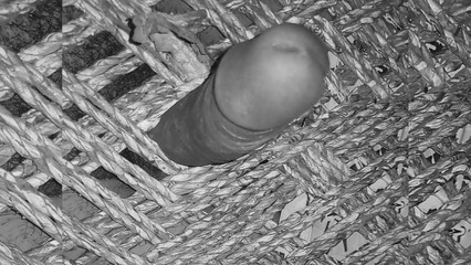 Young Indian Boy Showing His Hard Dick.