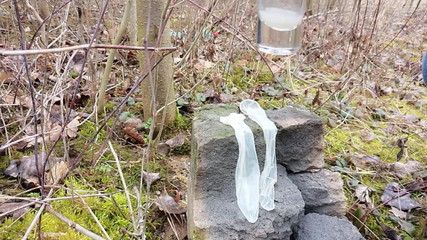 Making Cum From Two Filled Condoms After I Was Fucked Outdoors and My Jerk off After Cum Eating