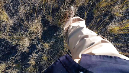 Outdoor Masturbation of This Mexican Stepdaddy Video Calling with His Girlfriends Until He Cums - Horny Audio