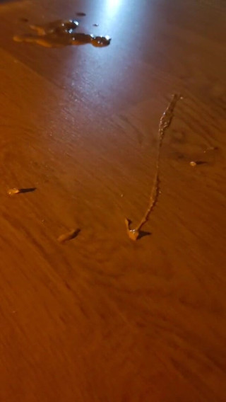 My Evening Masturbation