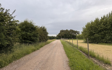 Summer Vacation 2025, Video Diary Part 1