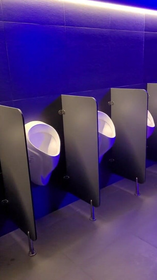 Risky Wank in Public Toilet