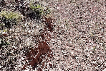 Seeing Anchal Stepaunty's Pussy Twisted, I Urinated with a Strong Heart.