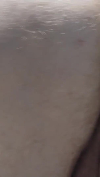 A Magnificent Rear View