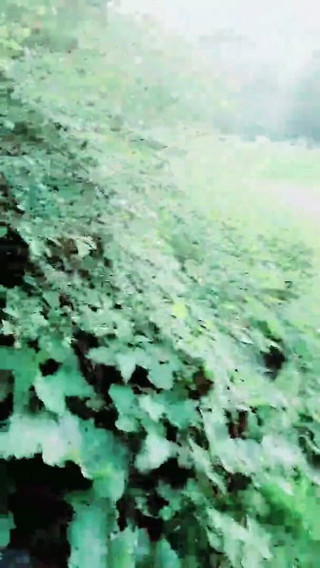 Slutboyben Cam4 Sexy Pornstar Exhibitionist Brainfucked